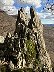 IMG_8316