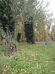 IMG_20221031_151316