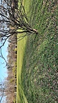 GCOHGY_20221207_133203