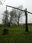 DSC00215