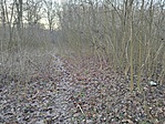 IMG_20221225_154345