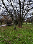 IMG_20221224_103637[1]