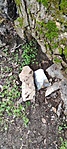 IMG_20221226_123323