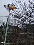 Paradicsomkaró tetején