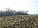IMG_20221226_112857.jpg