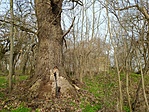 IMG_20221226_113801.jpg