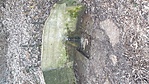 GCFV_20221229_081501