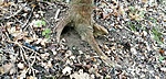 IMG_20221230_143038