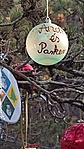 IMG_20221229_130836