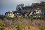 _DSC6357