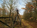 IMG_20221223_095948