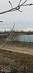 IMG_20221211_115521