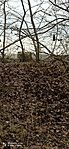 IMG_20221211_120056