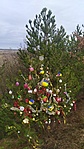IMG_20221231_112943
