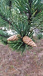 IMG_20221231_113057