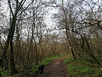 IMG_20221204_100113
