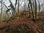 IMG_20221204_100429
