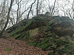 IMG_20221204_101038