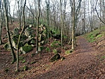 IMG_20221204_101043
