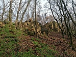 IMG_20221204_101628