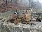 IMG_20221230_102616