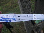 log