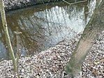 IMG_20221220_120731