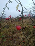 GCTO_20221209_143427