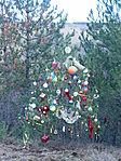 DSCN5289