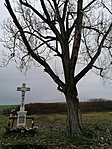 IMG_20221208_154633