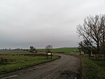 IMG_20221208_155203