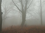 IMG_20221205_121346