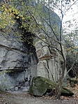 IMG_20221102_102653