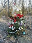 IMG_20221228_084456