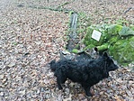 IMG_20221231_112856