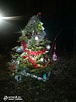 IMG_20221223_182525