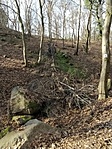IMG_20221228_104732