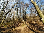 IMG_20221228_104846
