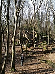 IMG_20221228_104938
