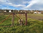 IMG_20221228_112028