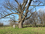 IMG20221218122810