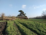 IMG20221218123131