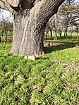 IMG_20221204_131314