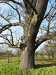 IMG_20221204_131548