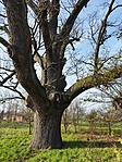IMG_20221204_131559
