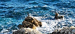 IMG_20211029_101851