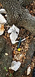 IMG_20211029_102731