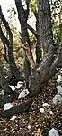 IMG_20211029_102821