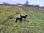 geokarácsony