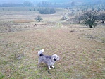 IMG_20230108_112124